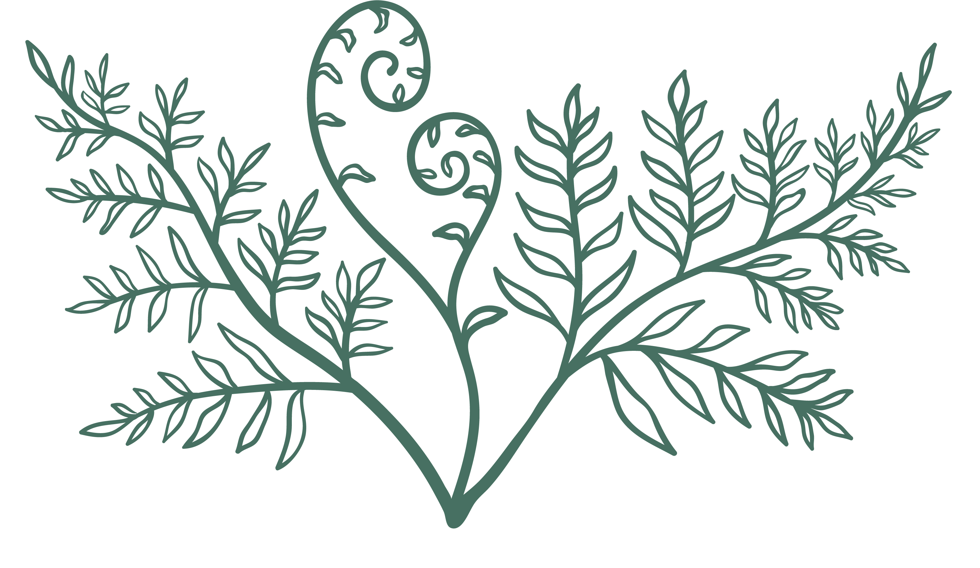 fern logo